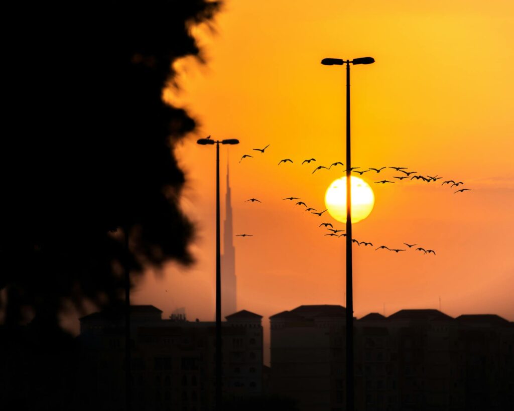 Dubai, Vereinigte Arabische Emirate, Firma gründen, Steuern, Lebensstil