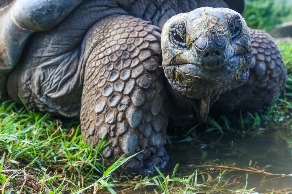 Ecuador, Lebenshaltung, Natur, Rente, Visum, Sicherheit