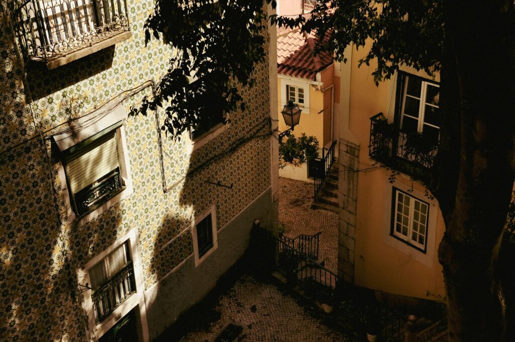 Portugal, Lissabon, Selbstständigkeit, Vegan, Geschäft, Logistik