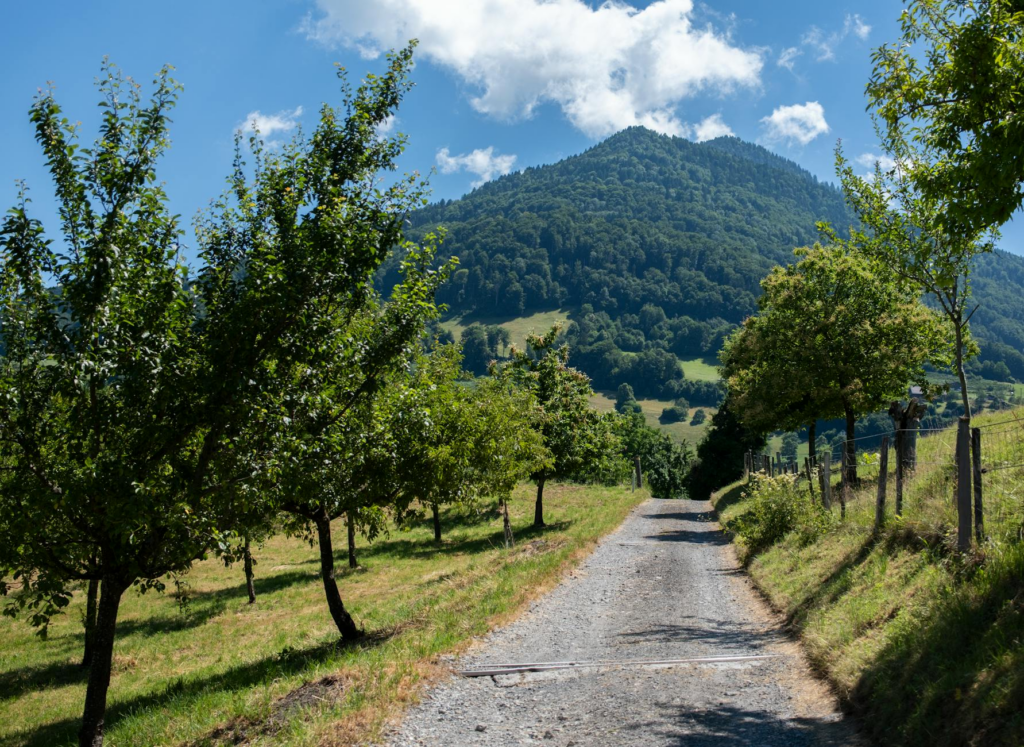 Schweiz, Arbeit, Apotheker, Gesundheit, Anerkennung, Bürokratie