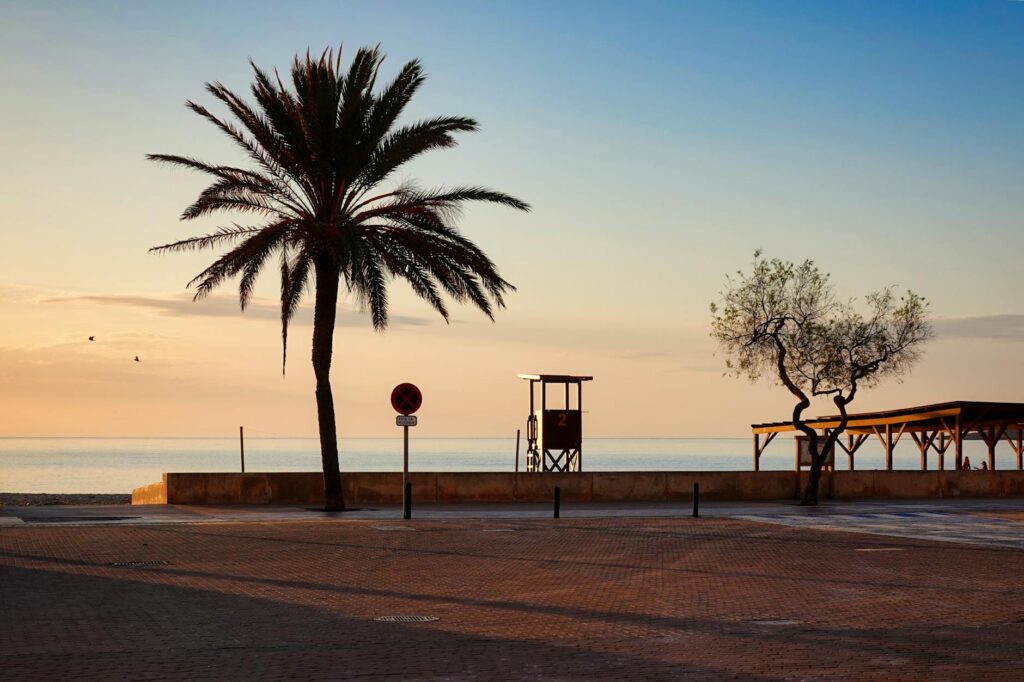 Spanien, Mallorca, Selbstständigkeit, Nachhaltigkeit, Geschäft, Lebensmittel