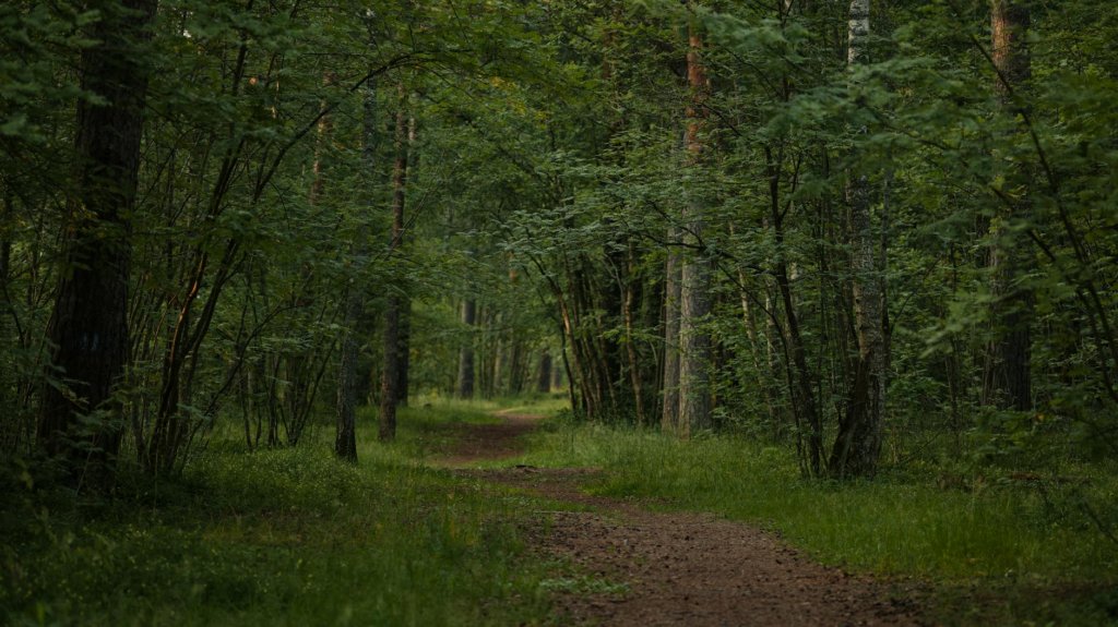 Wasser, Filter, Gesundheit, Trinkwasser, Krise, Outdoor
